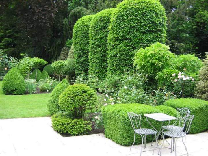 Maintenance de jardin Montmorency