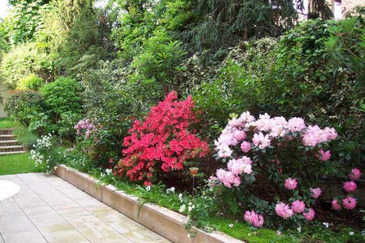 Aménagement de jardin Montmorency