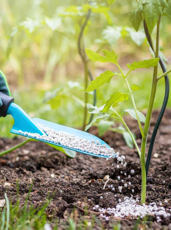 Réalisation de potager Montmorency