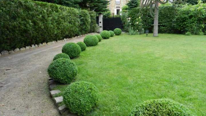 Création de jardin Montmorency